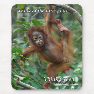 Baby Orangutan Muismat