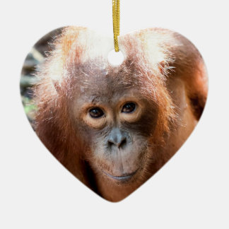 Baby Orangutan Orphan Kobe Keramisch Ornament