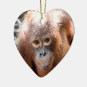 Baby Orangutan Orphan Kobe Keramisch Ornament (Links)