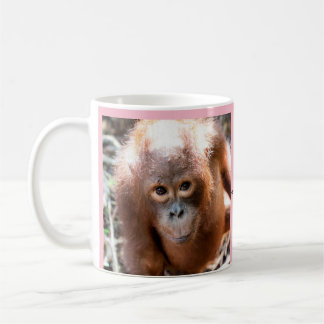 Baby Orangutan Orphan Kobe met OFI Koffiemok
