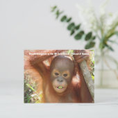 Baby Orangutan Photo (Donald) Briefkaart (Staand voorkant)