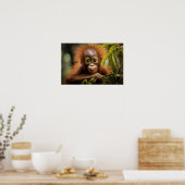 Baby Orangutan Poster (Keuken)