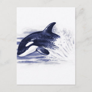 Baby Orca Jump Briefkaart