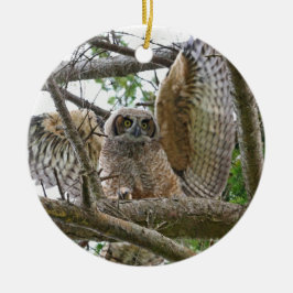 Baby Owl Afbeelding Keramisch Ornament