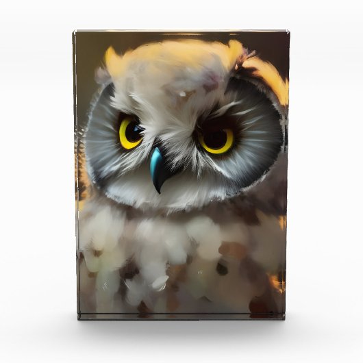 Baby Owl Fotoblokken (Voorkant)