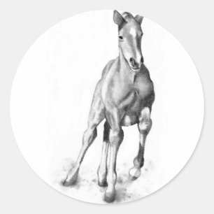 Baby Paarden, koudlopen: Potcil Art Ronde Sticker