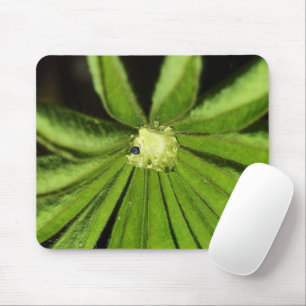 Baby Palm Plant van Shirley Taylor Muismat