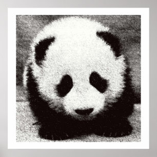 Baby Panda Artwork Posters Prints