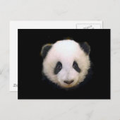 Baby Panda Briefkaart (Voorkant / Achterkant)