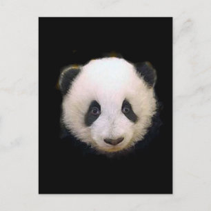 Baby Panda Briefkaart