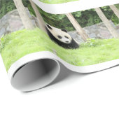 Baby Panda Cadeaupapier (Rol Hoek)