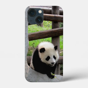 Baby Panda iPhone 13 Mini Hoesje