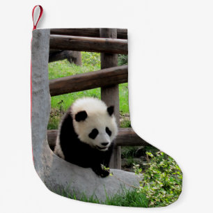 Baby Panda Kleine Kerstsok