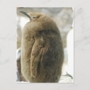 Baby Penguin Briefkaart