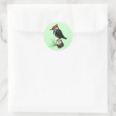 Baby Pileated Woodpecker Stickers (Tas)