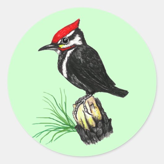 Baby Pileated Woodpecker Stickers (Voorkant)