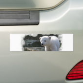 Baby Polar Beer Bumpersticker (Op auto)