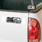 Baby Polar Beer Bumpersticker (Op Truck)
