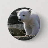 Baby Polar Beer Button (Voorkant)