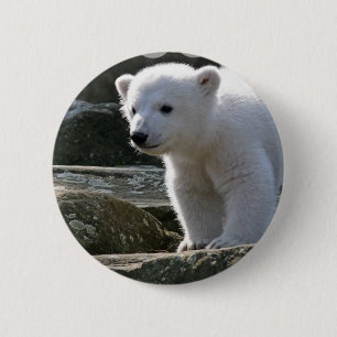 Baby Polar Beer Button