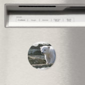 Baby Polar Beer Magnet Magneet (Insitu (Vaatwasser))