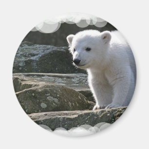 Baby Polar Beer Magnet Magneet