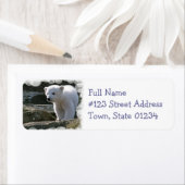 Baby Polar Beer retour adreslabel Etiket (Insitu)