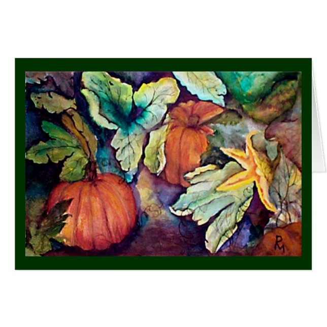 Baby pompoenen (Voorkant Horizontaal)