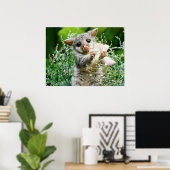 Baby Possum Caught Picking Flowers Poster (Thuiskantoor)