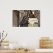 Baby Poster (Keuken)