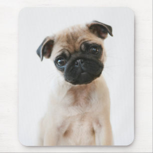 Baby Pug Portrait Muismat