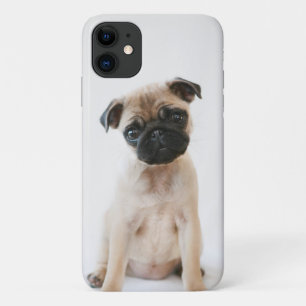 Baby Pug Portret iPhone 11 Hoesje