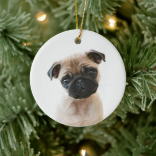 Baby Pug Portret Keramisch Ornament