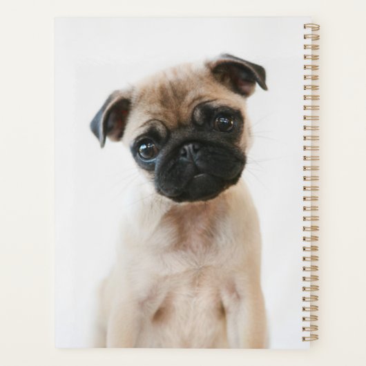 Baby Pug Portret Planner (Achterkant)