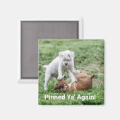 Baby Puppies Magneet (Voorkant / Achterkant)
