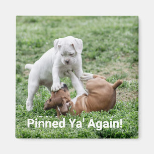 Baby Puppies Magneet