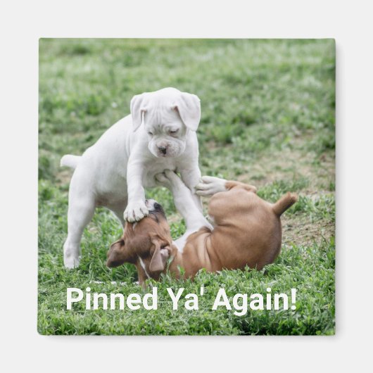 Baby Puppies Magneet (Voorkant)