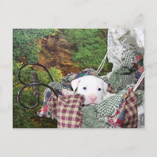 Baby Puppy Carriage Ride Briefkaart