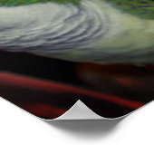 Baby Quaker Parrot Pair 2 Poster (Hoek)