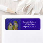 Baby Quaker Parrot Pair Animal Adres Etiket (Insitu)