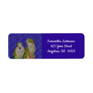 Baby Quaker Parrot Pair Animal  Etiket