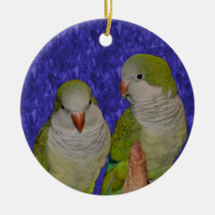 Baby Quaker Parrot Pair Bird Ornament