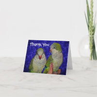 Baby Quaker Parrots Animal Dank je wel