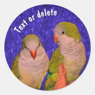 Baby Quaker Parrots Animal Speciaal Ronde Sticker