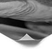 Baby Quaker Parrots Partiële kleur Poster (Hoek)