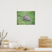 Baby Rabbit Poster (Keuken)