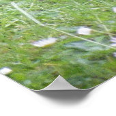 Baby Rabbit Poster (Hoek)