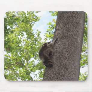 Baby Raccoon Muismat