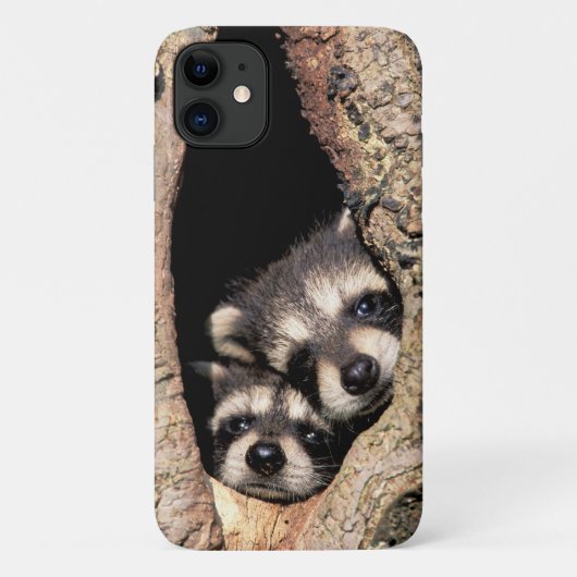 Baby Raccoons Peeking out of Tree Case-Mate iPhone Case (Achterkant)