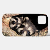 Baby Raccoons Peeking out of Tree Case-Mate iPhone Case (Achterkant (horizontaal))